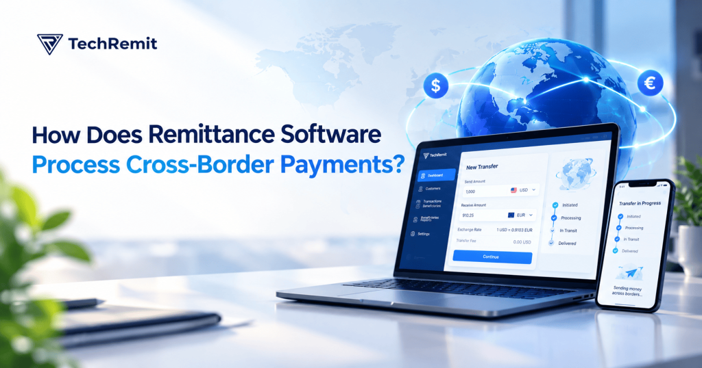 Remittance Software Process Cross-Border Payments